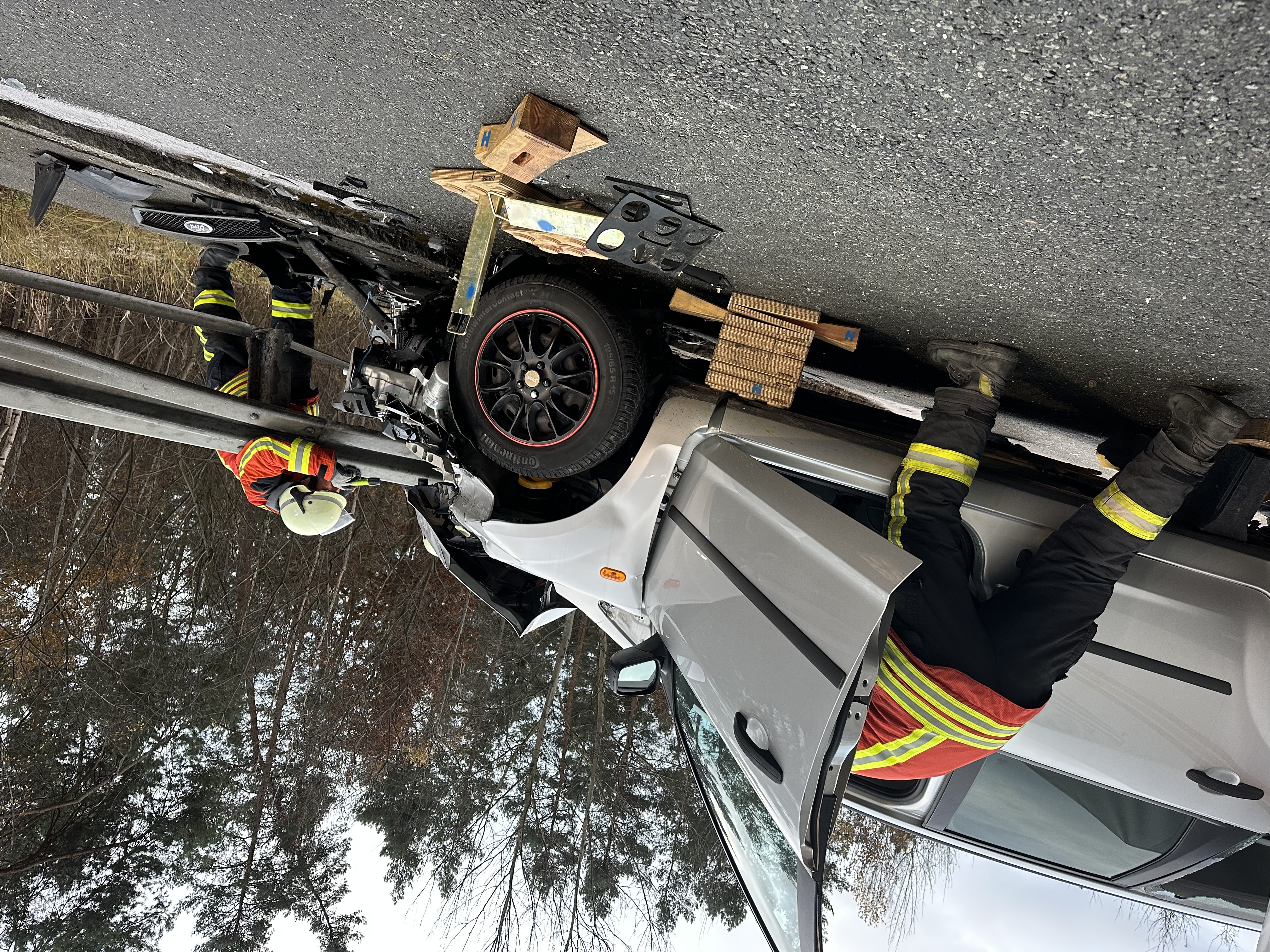 Delfino 2211242268.jpg